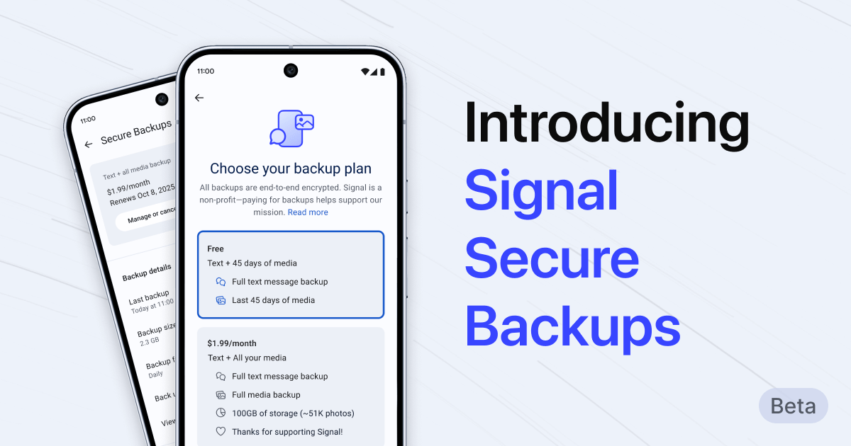 Understand Mexico's area codes and phone numbers for worry-free travel.
